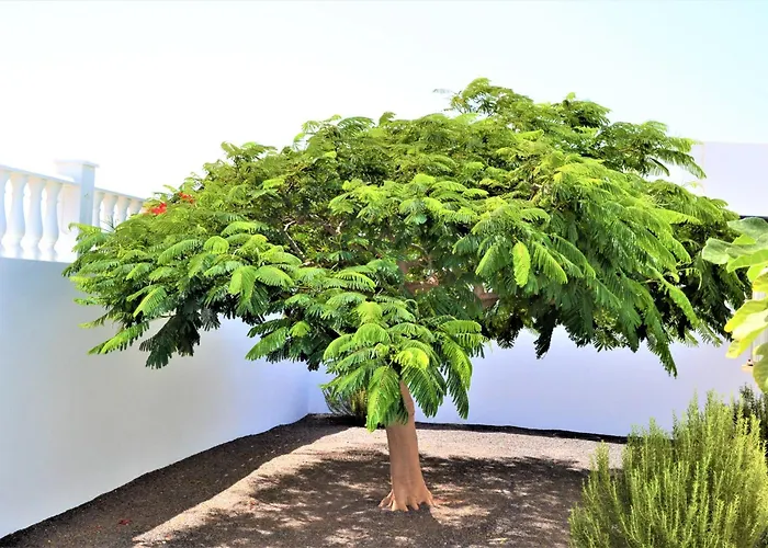 Grand Famara Puerto del Carmen