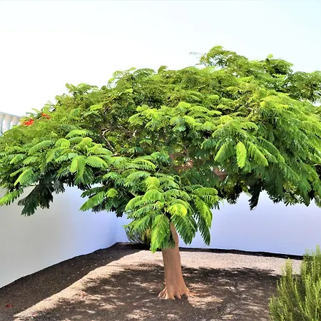 Grand Famara Puerto del Carmen (Lanzarote)